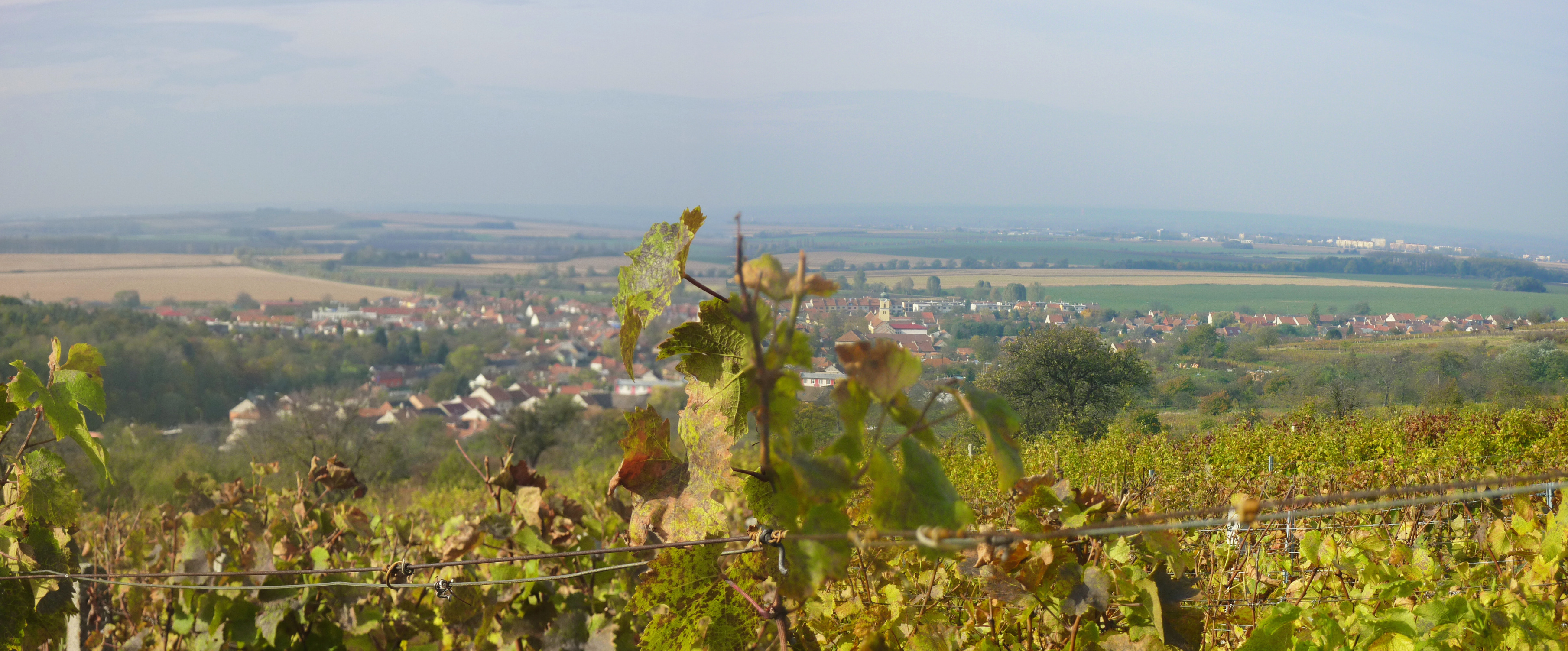 Vinobraní v blatnici 2010 (90)