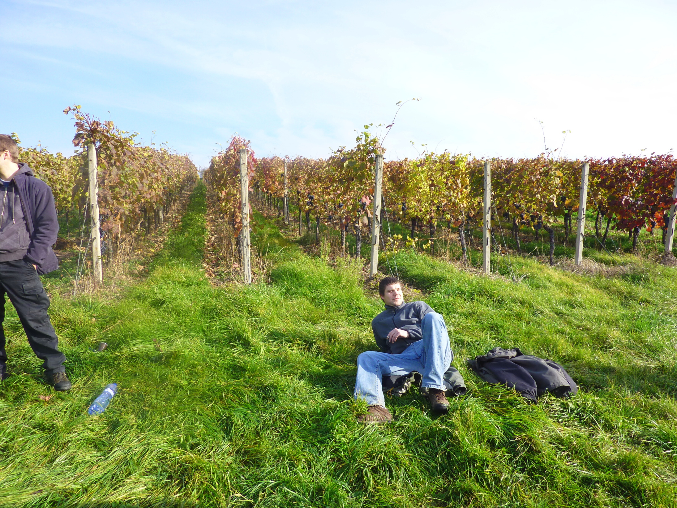 Vinobraní v blatnici 2010 (25) – kopie