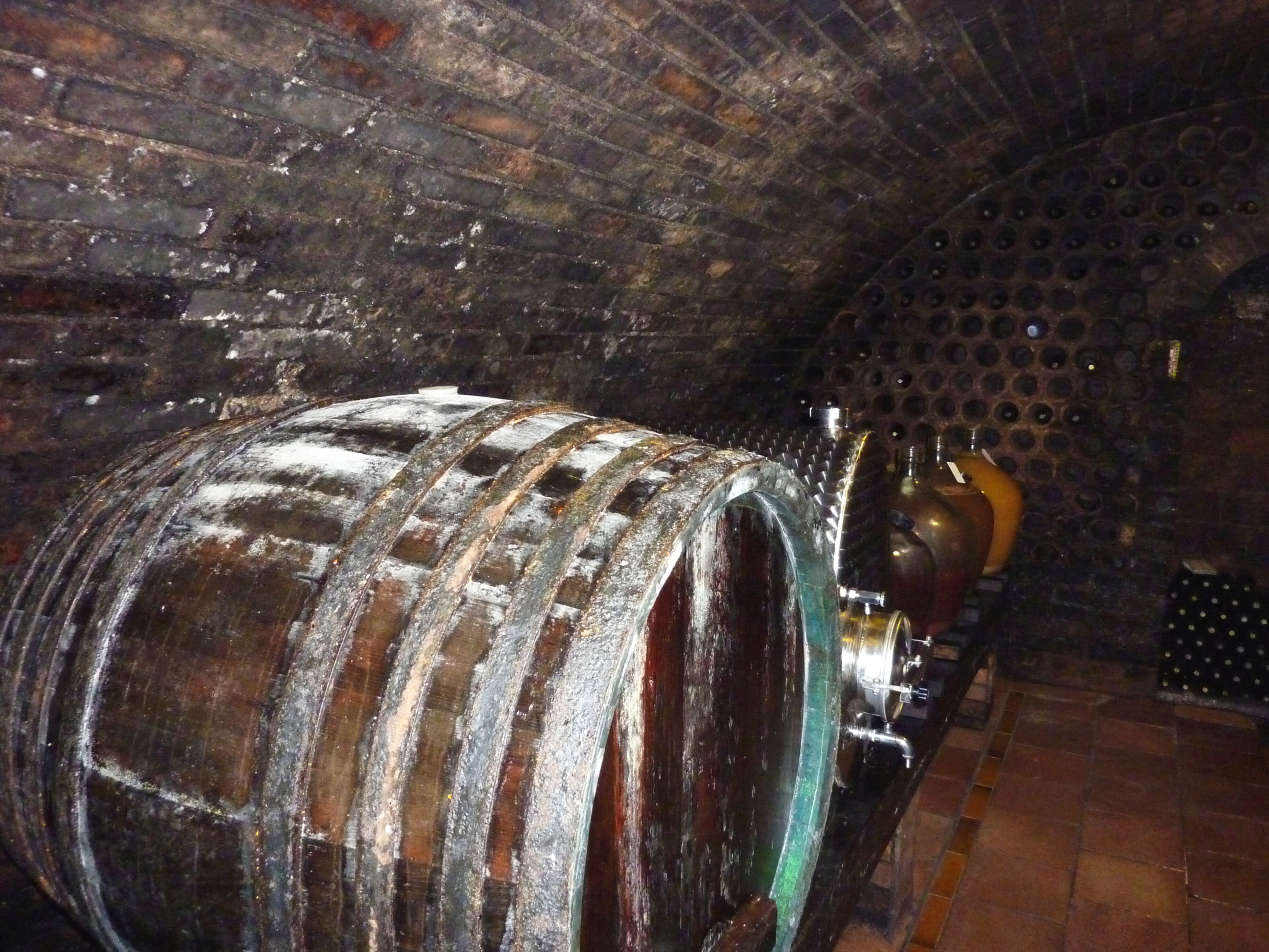 Vinobraní v blatnici 2010 (44) – kopie