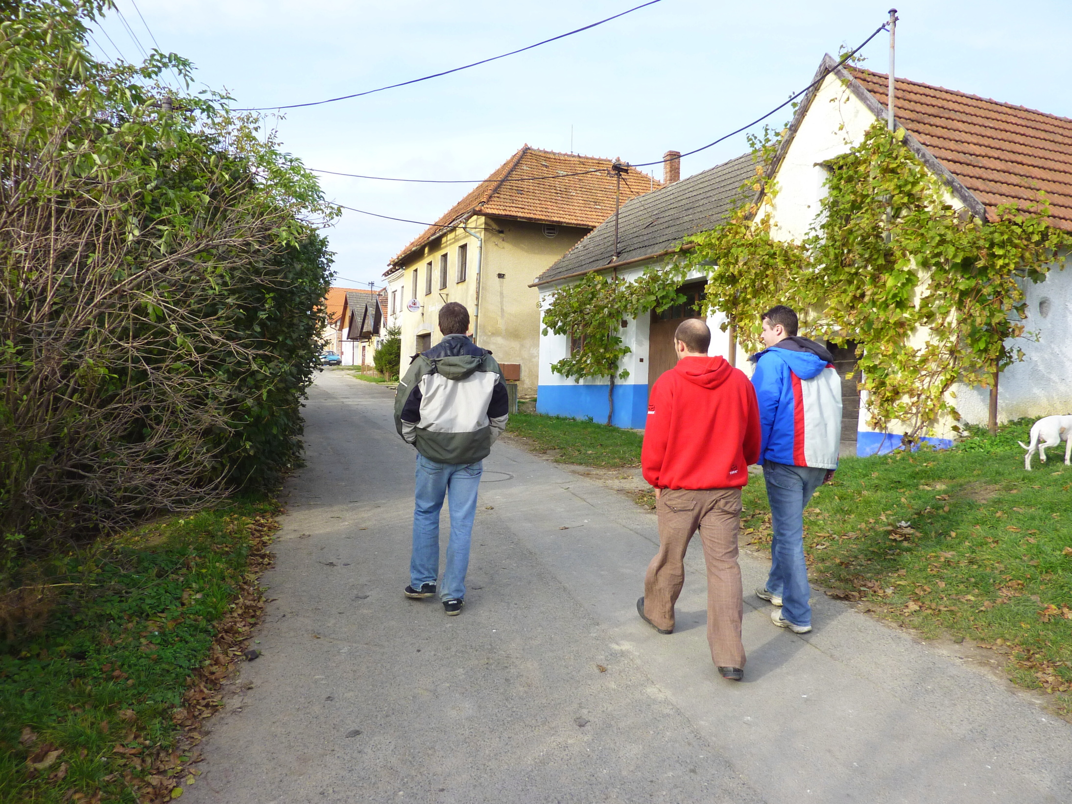 Vinobraní v blatnici 2010 (64)