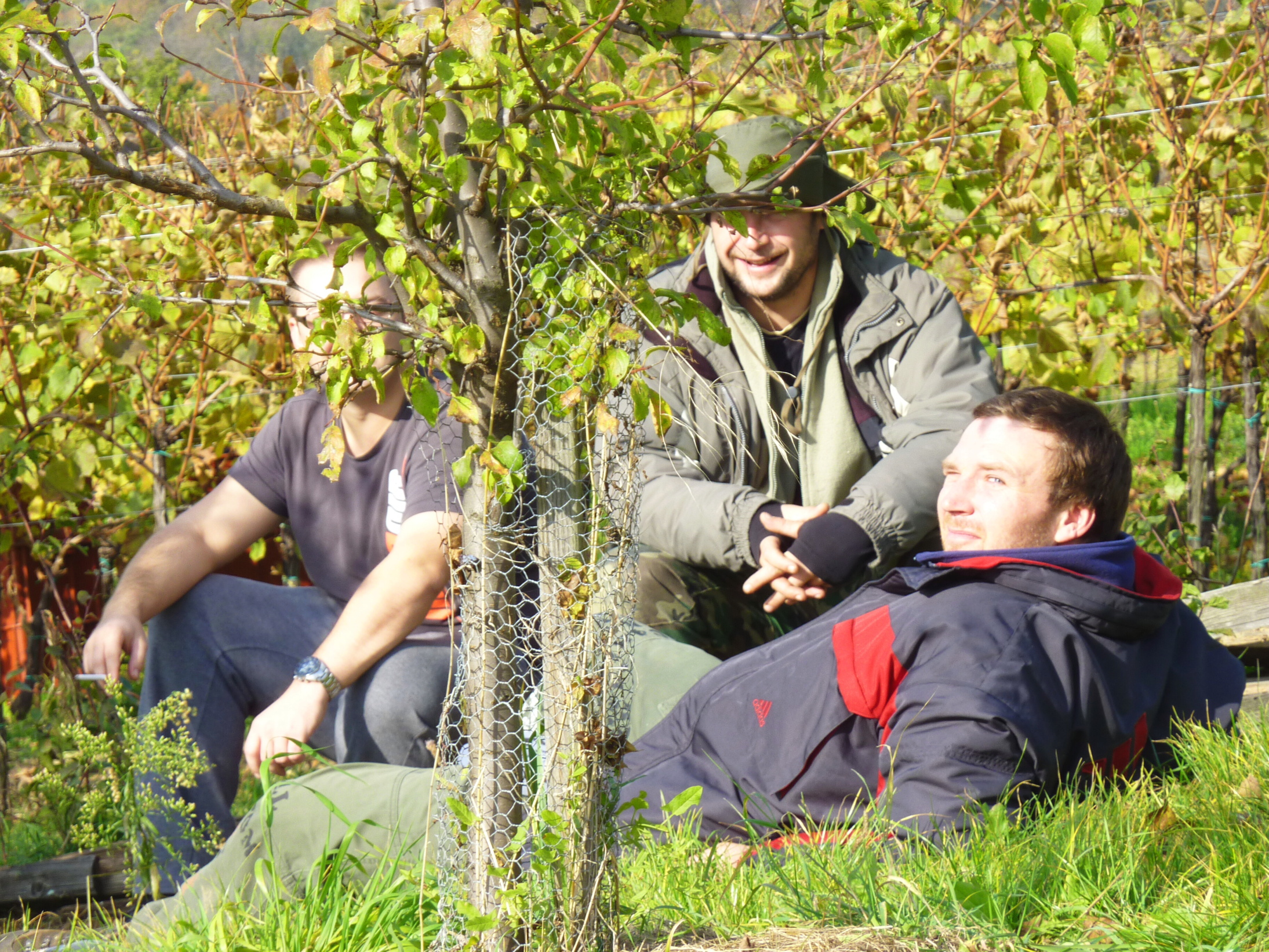 Vinobraní v blatnici 2010 (30) – kopie