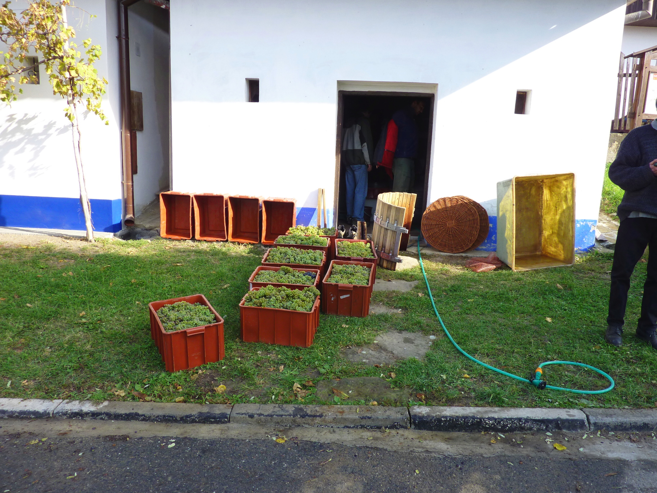 Vinobraní v blatnici 2010 (34) – kopie