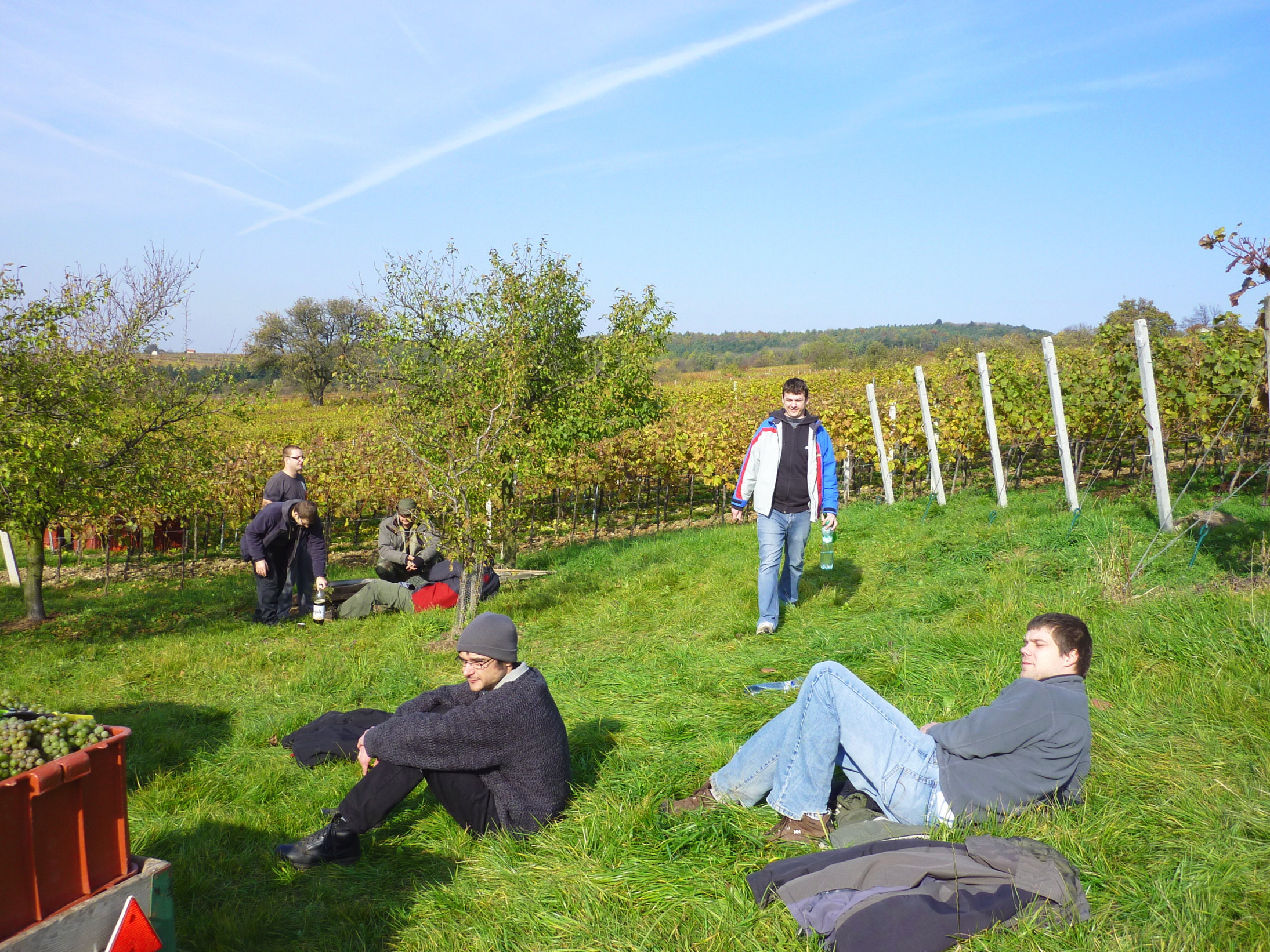 Vinobraní v blatnici 2010 (26) – kopie