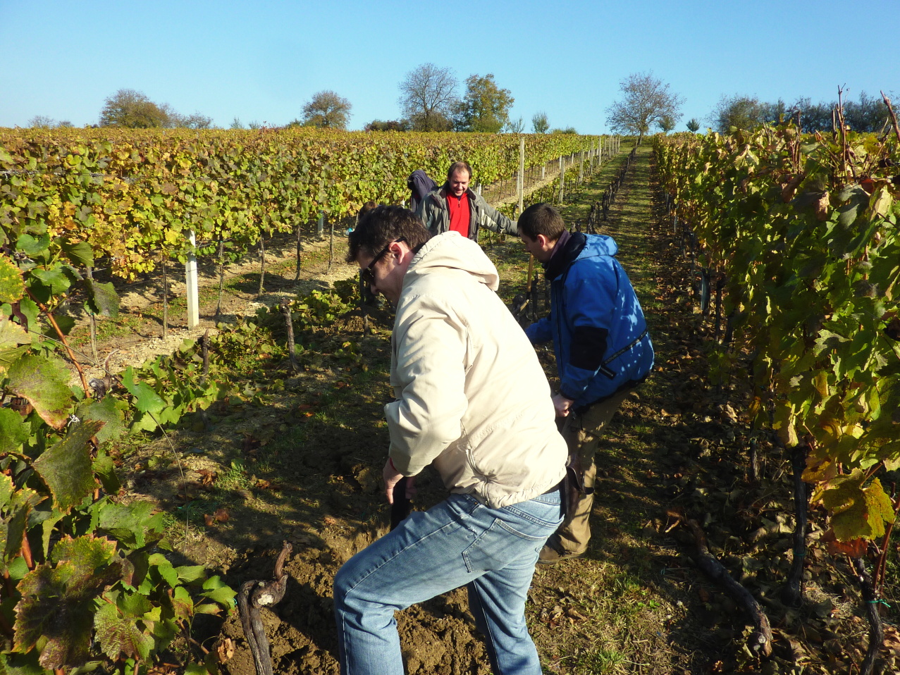 Vinobraní v Blatnici 22.10. 2011 (15)