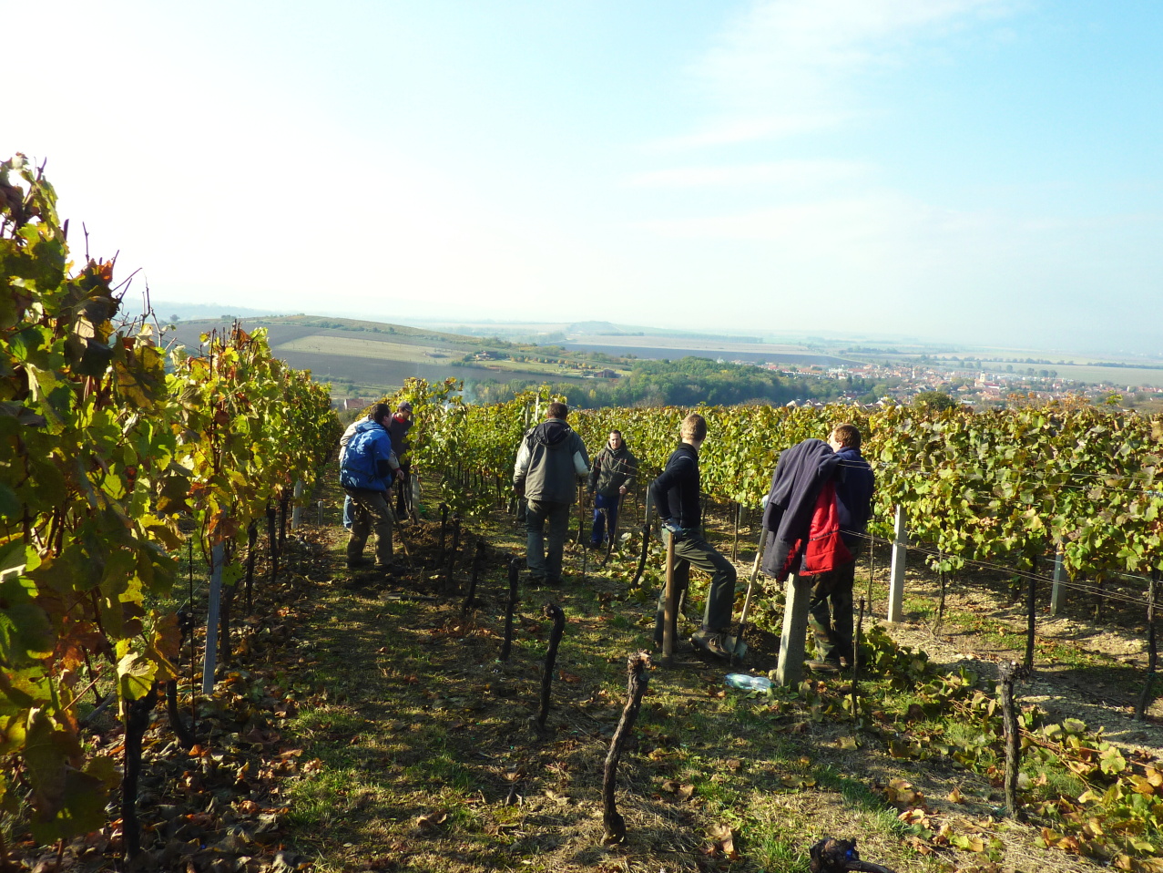 Vinobraní v Blatnici 22.10. 2011 (17)