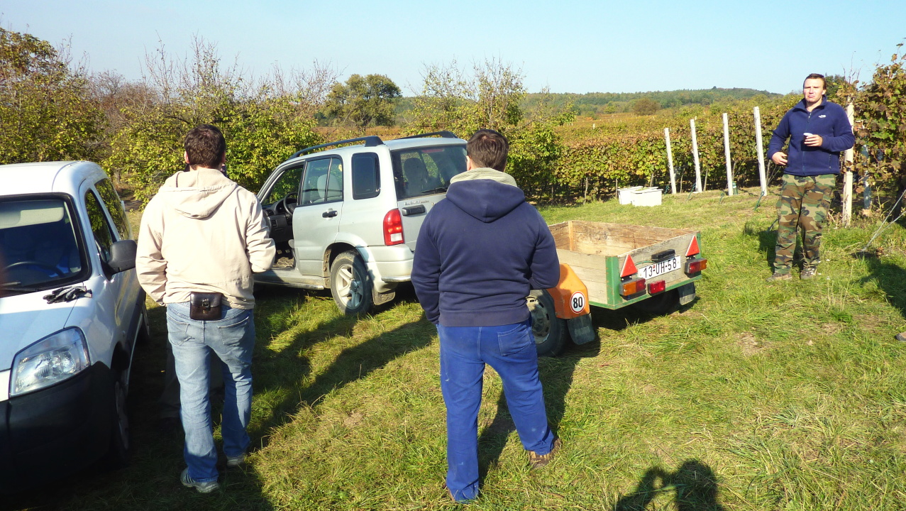 Vinobraní v Blatnici 22.10. 2011 (25)