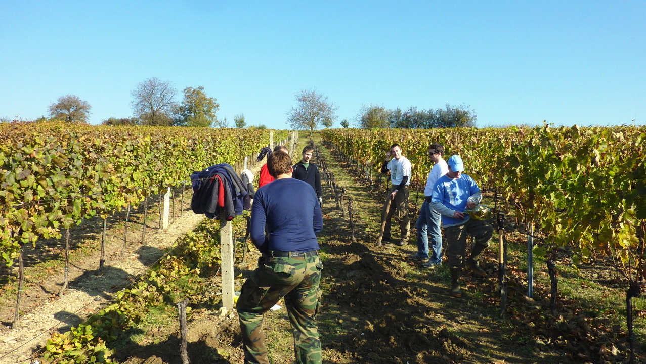 Vinobraní v Blatnici 22.10. 2011 (28)