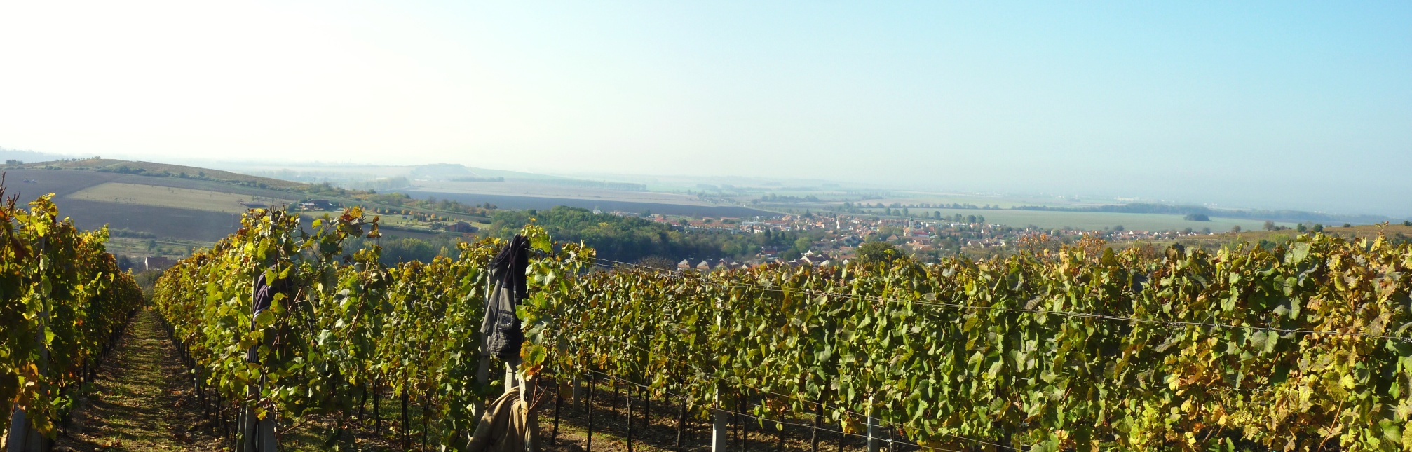 Vinobraní v Blatnici 22.10. 2011 (31)
