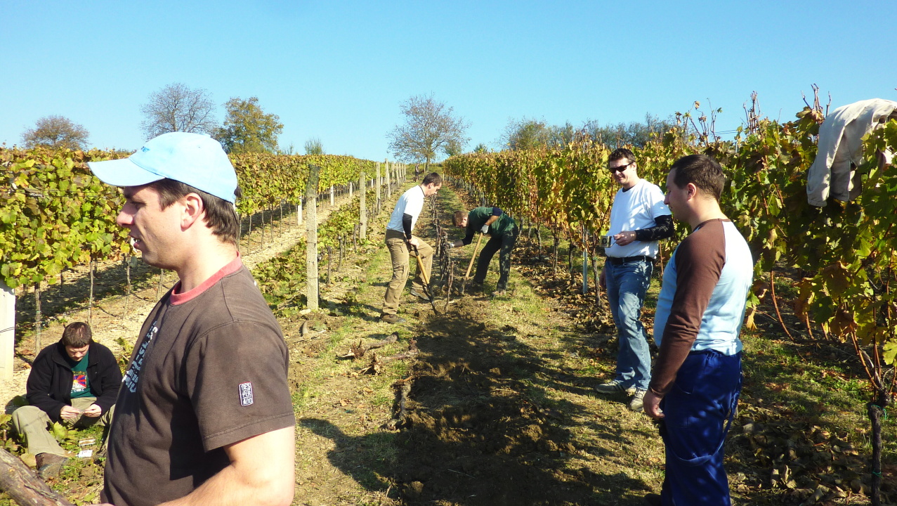 Vinobraní v Blatnici 22.10. 2011 (35)