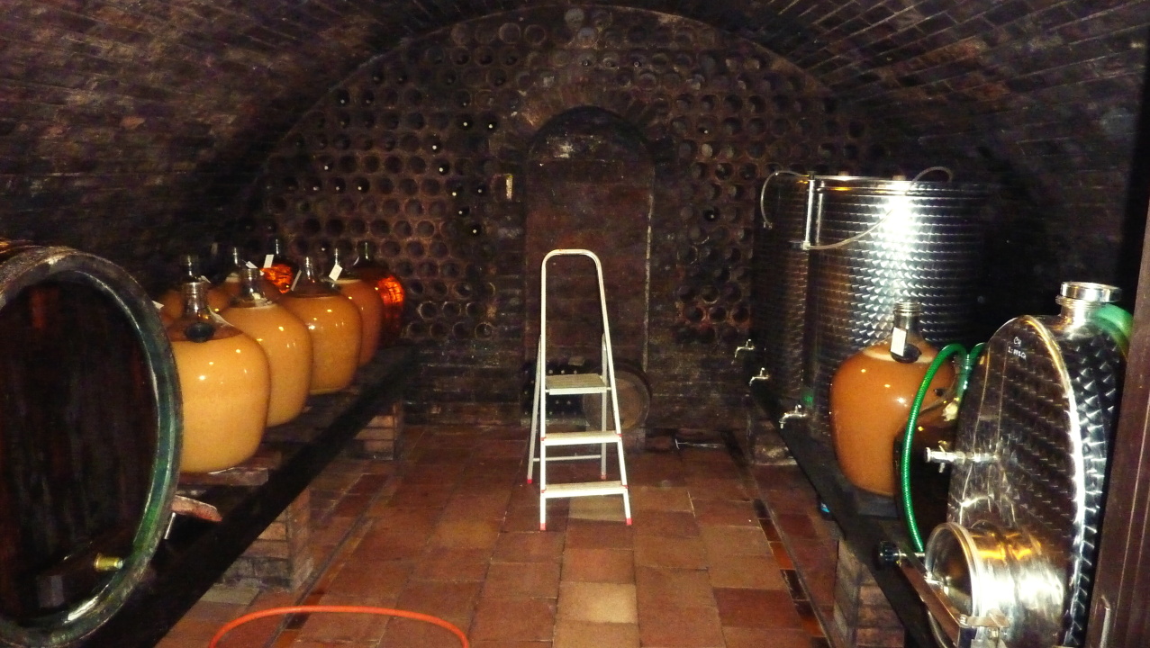 Vinobraní v Blatnici 22.10. 2011 (45)