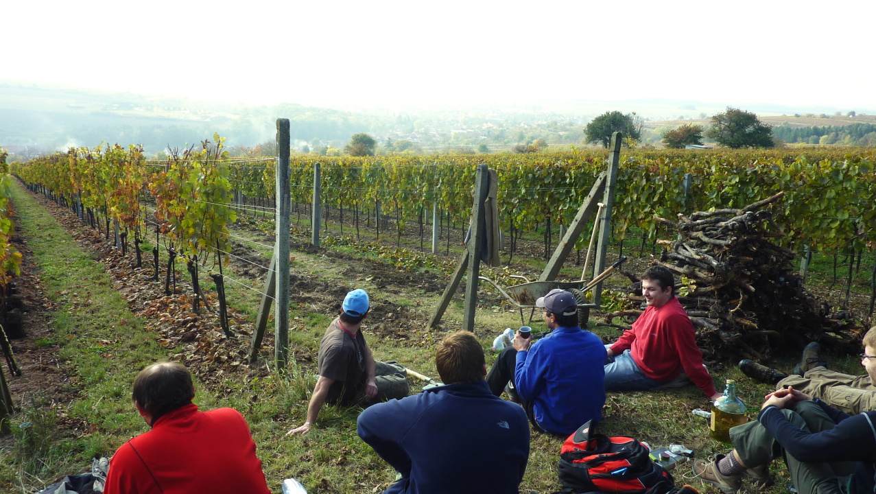 Vinobraní v Blatnici 22.10. 2011 (47)