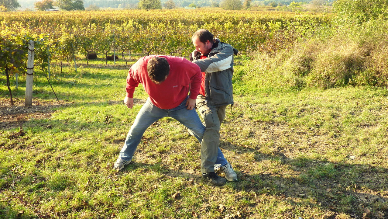 Vinobraní v Blatnici 22.10. 2011 (55)