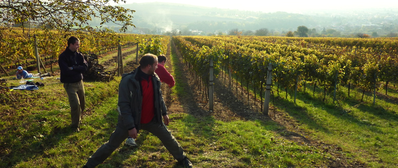 Vinobraní v Blatnici 22.10. 2011 (57)