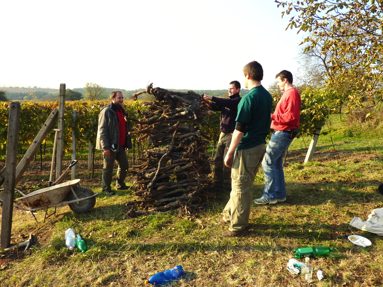 Vinobraní v Blatnici 22.10. 2011 (64)