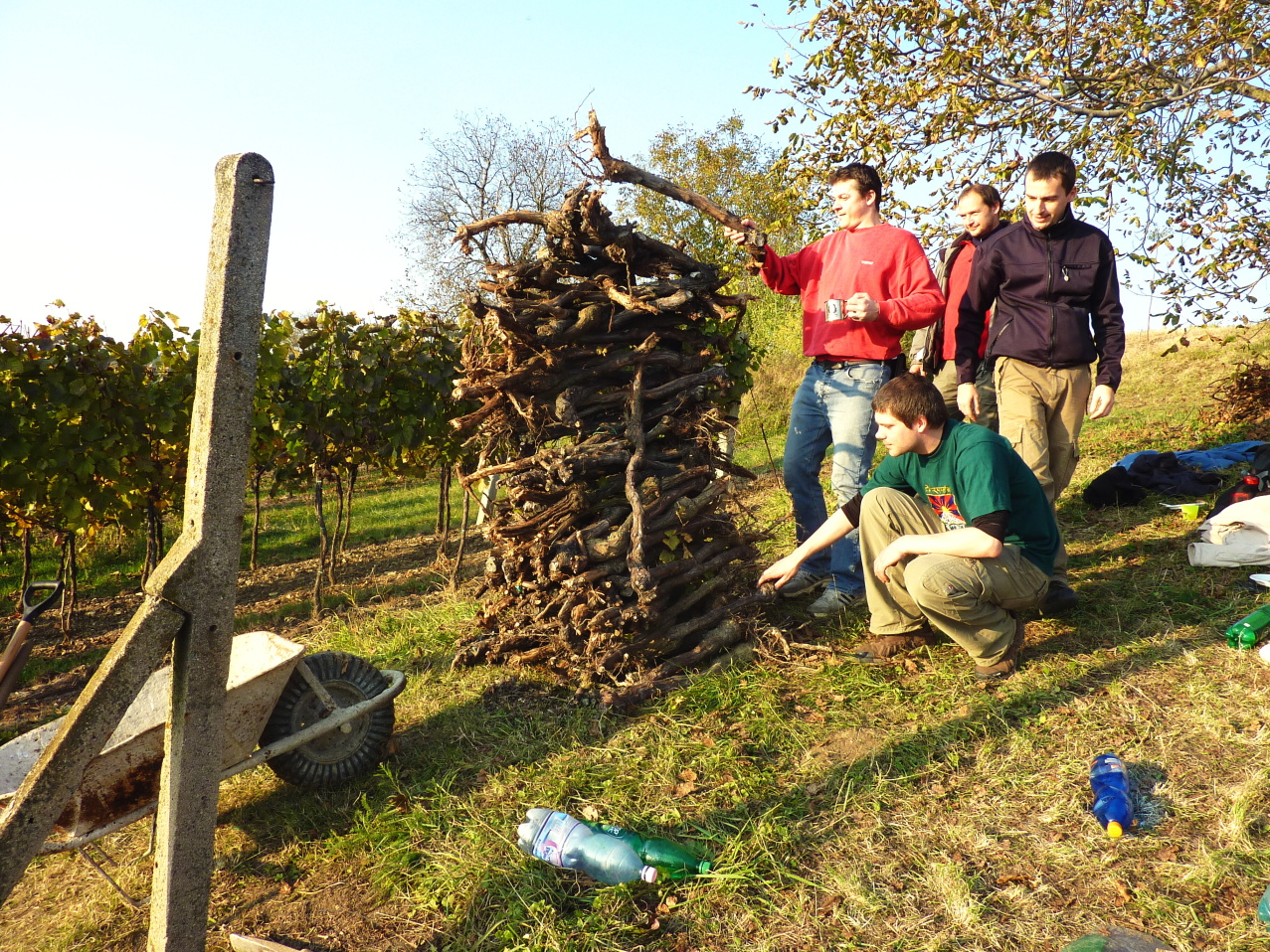 Vinobraní v Blatnici 22.10. 2011 (65)