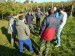 Vinobraní v Blatnici 22.10. 2011 (7)