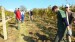 Vinobraní v Blatnici 22.10. 2011 (41)