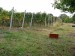 Vinobraní v Blatnici 10.10. 09 001 (3).jpg